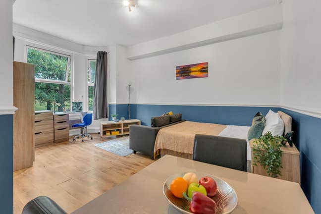 Spacious studio flat with view of Woodhouse Moor  Main Photo