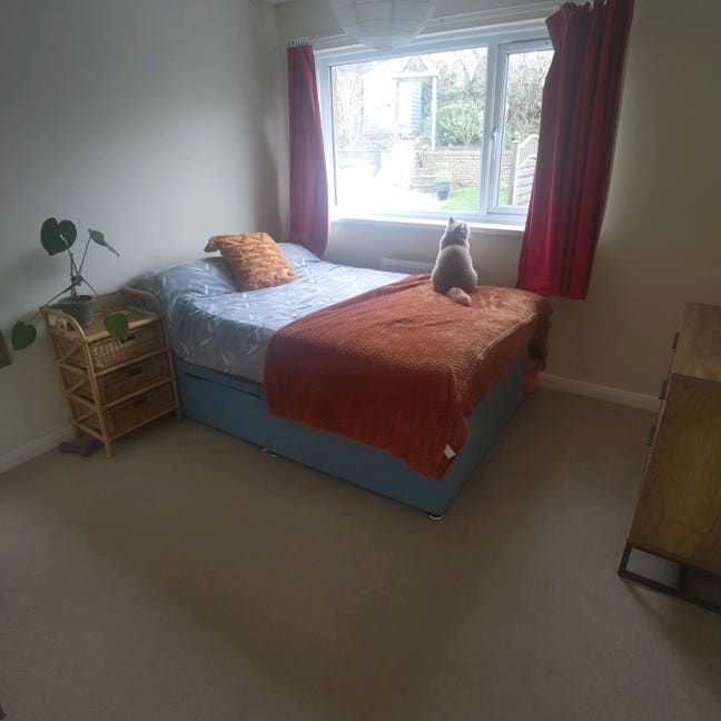 Bright & Spacious Room to Rent – Cat-Friendly Home Main Photo
