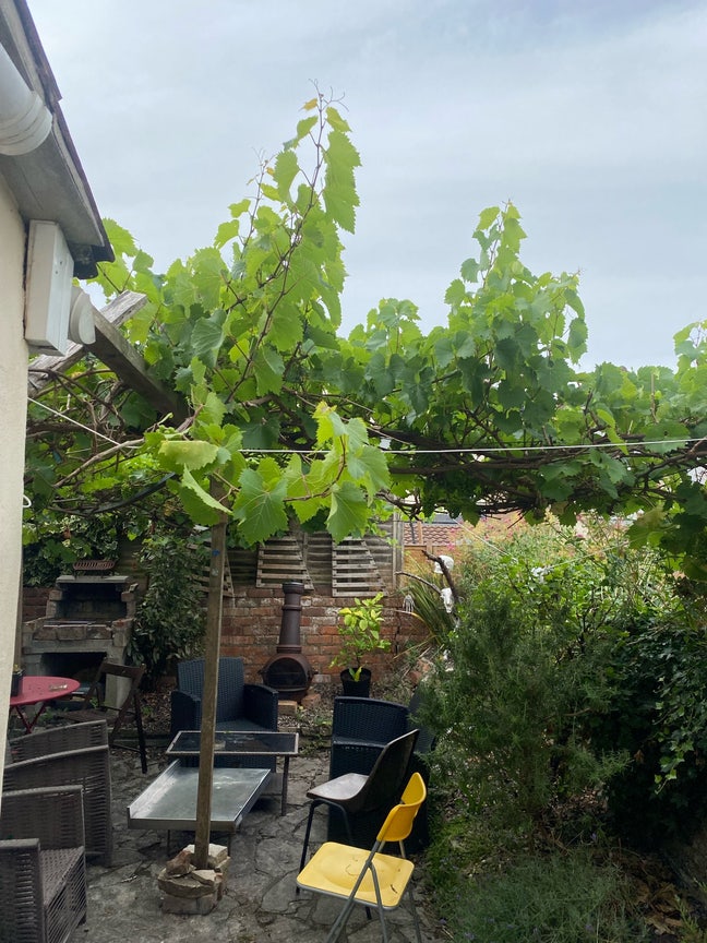 Southville Room in sociable 6 Bed! Main Photo