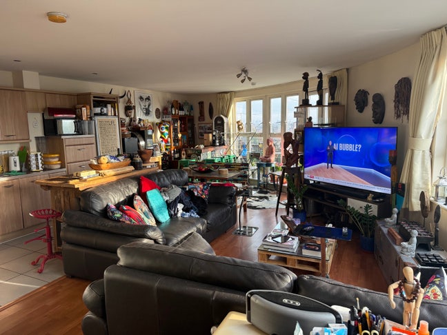 Looking for a professional lodger  Main Photo