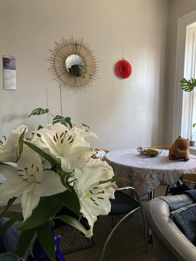 Cosy room in quiet flat close to Chapel Allerton  Main Photo