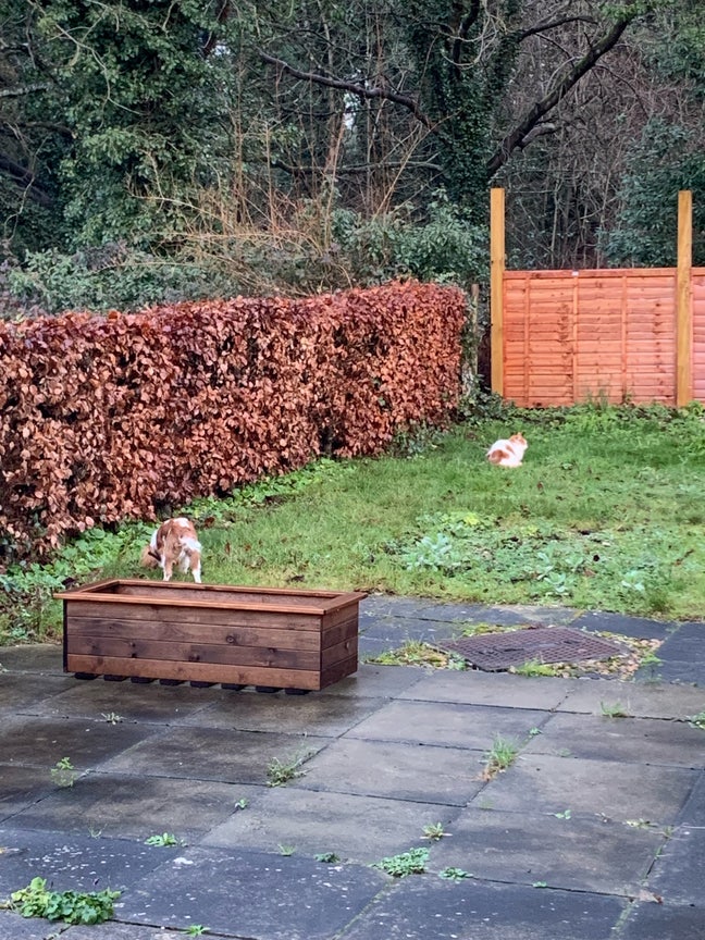 Double room to rent in Bridge Main Photo