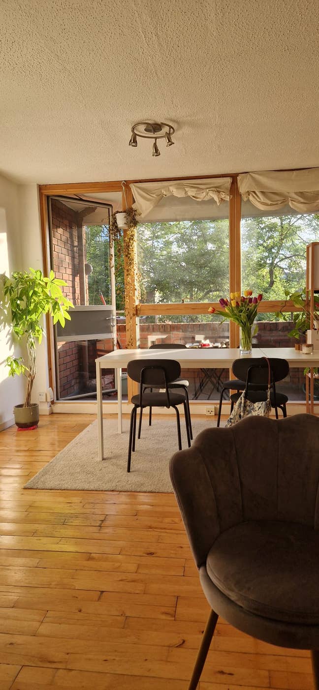 Room available in Islington Main Photo