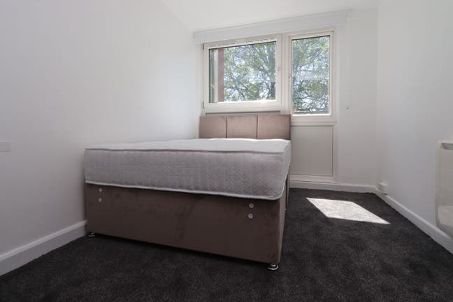 Large Double Room in the Heart of Holloway Road Main Photo