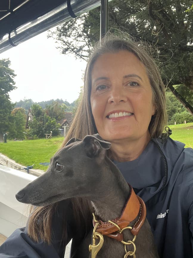 Hi, we are Amanda and Isra ( Italian greyhoun... Main Photo