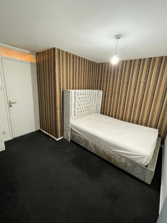 Beautiful Room Available in Hyde Park Now Main Photo