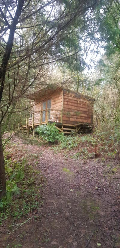 Off grid cabin in the woods  Main Photo