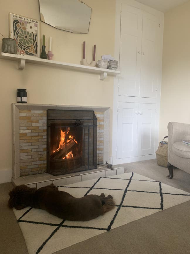 Small business owner, works with nature and art Main Photo