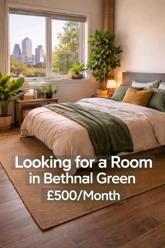 Quiet, Clean & tidy Professional Looking for room Main Photo