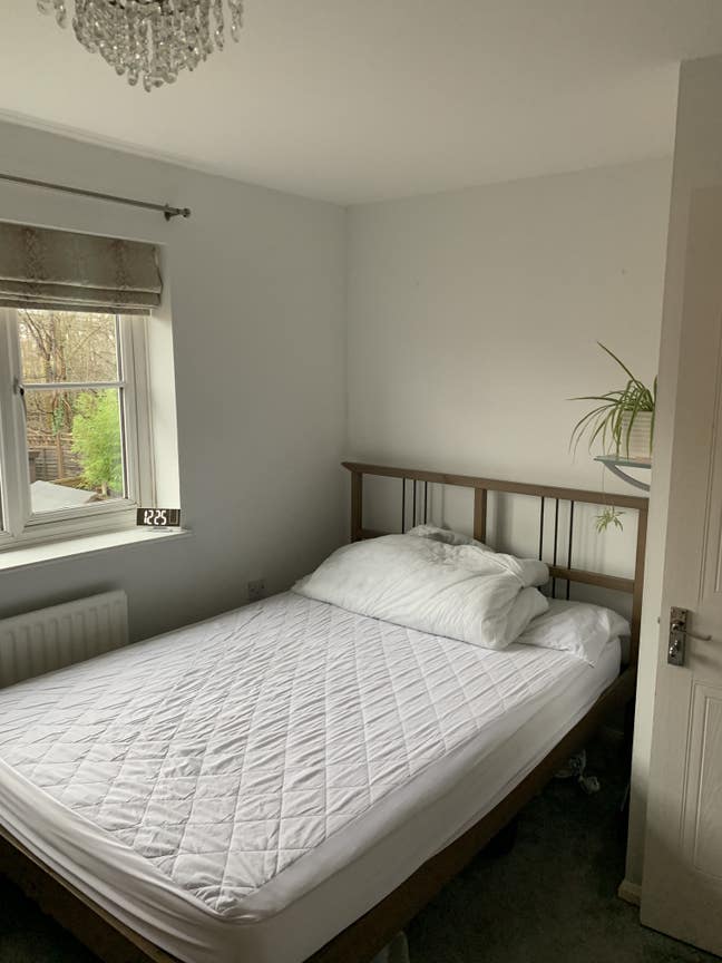 En-suite double room in Mill Hill (Garden View). Main Photo