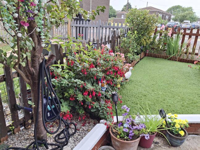 Single bedroom for rent Main Photo