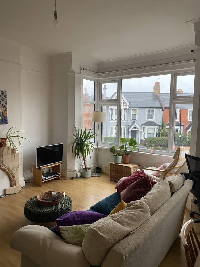 Garden facing room in Crouch End creative flat Main Photo