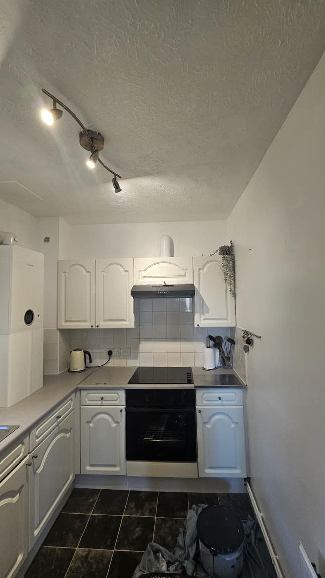 Beautiful 1 Bedroom flat Main Photo