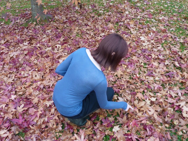 creative female looking to rent or buddy up:) Main Photo