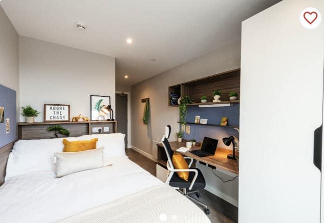 Nelson Place Bronze EnSuite Room Available To Rent Main Photo