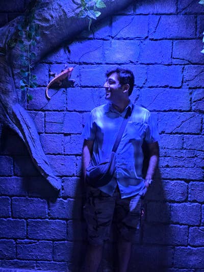 Looking for a place to call home! Main Photo