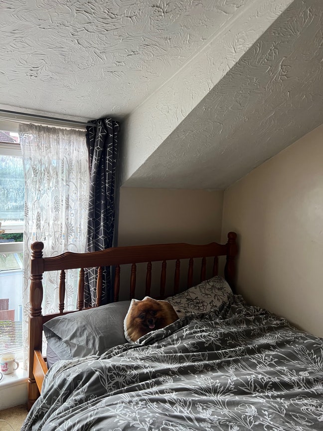 Large Double Room -550 All Bills Incl Main Photo