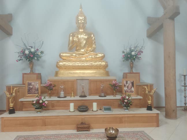 Professional Male seeks a single or double room Main Photo