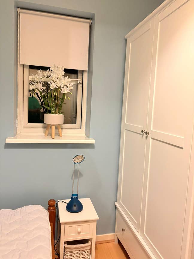 Single room in friendly household, Halstead Main Photo