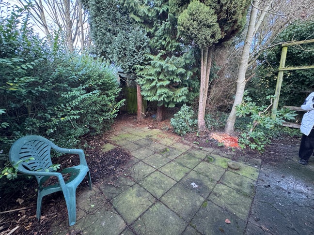 Looking for More Roommates  Main Photo