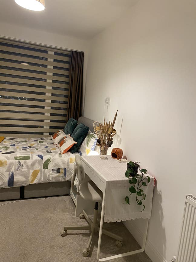 Bright,Cosy, Clean, Modern, Female Flat Lewisham Main Photo