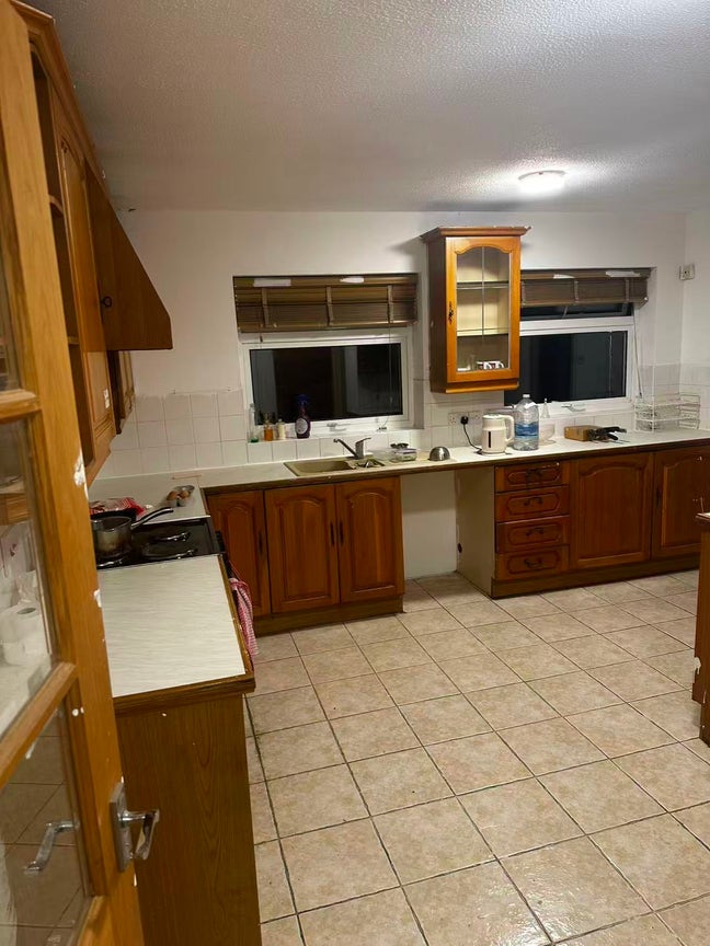 Loves cleanliness and enjoys life Main Photo