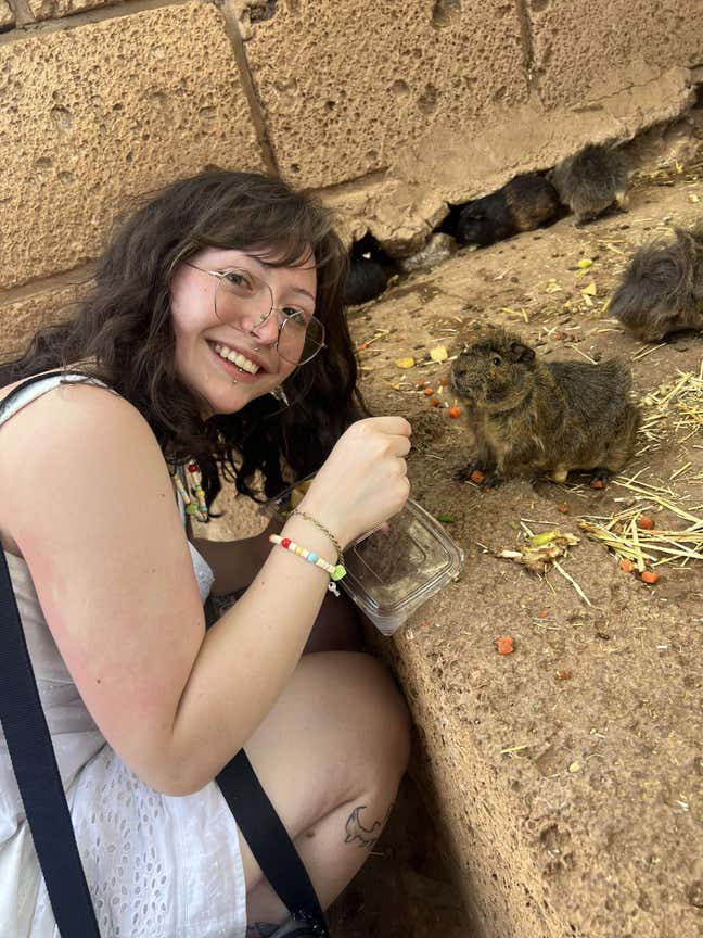 Looking for 2 bedroom property  Main Photo