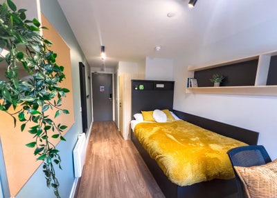 Portsburgh Court Ensuite Silver Main Photo