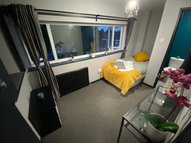 🌿 En-Suite Room with Garden Access | Hatfield Main Photo