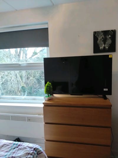 Nice neat and tidy single room  Main Photo
