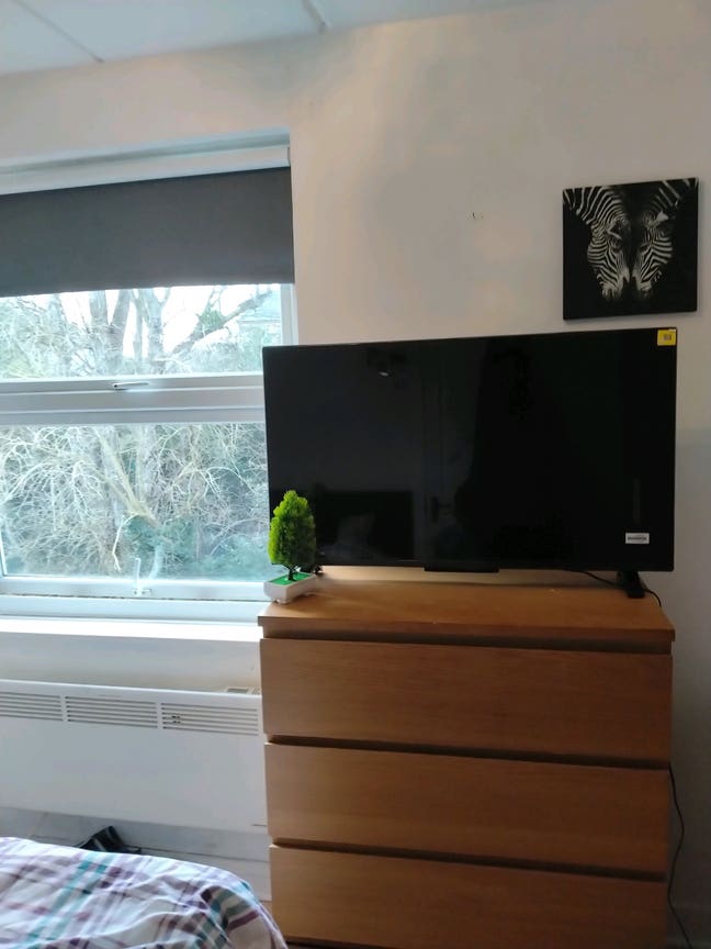 Nice neat and tidy single room  Main Photo