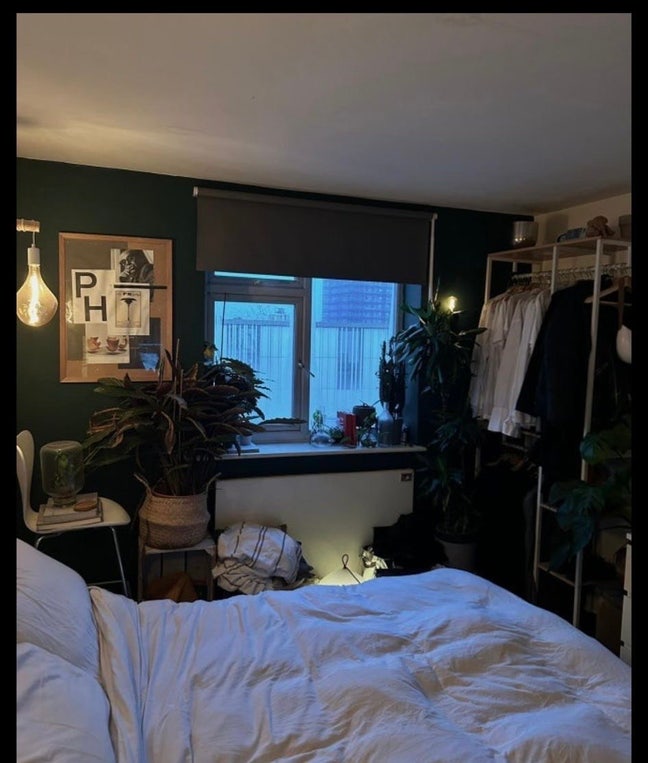 Double Room Available On Hackney Downs Park Main Photo