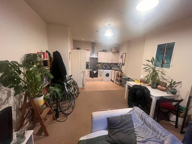 Room In Lovely Flat In Center of Bristol! Main Photo