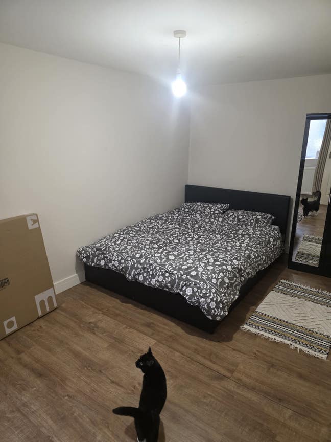 Large Double Room Available in Calm, Friendly Flat Main Photo