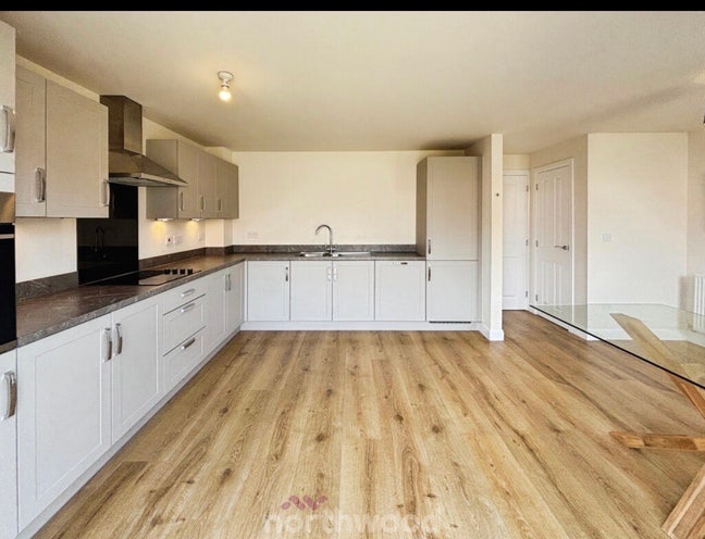 Double Room in Hatfield for rent  Main Photo