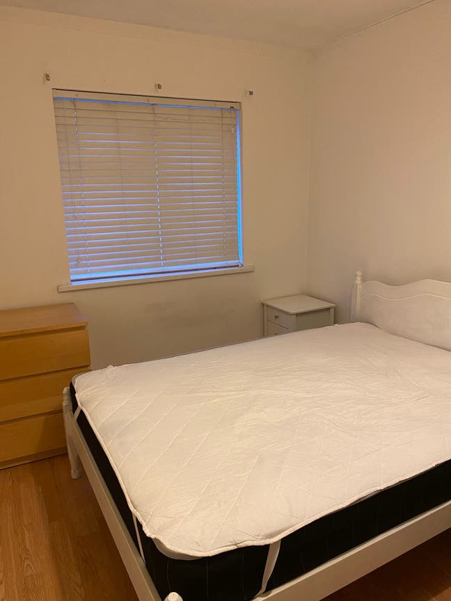 1 large double room available in Brighton Hill   Main Photo