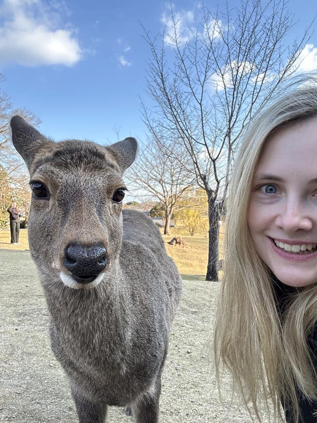 Looking for friendly, cosy home 🌸 Main Photo