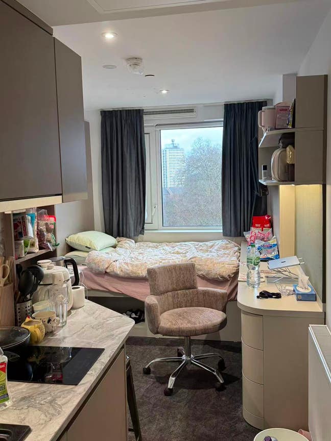 IQ VEGA Student Accommodation Studio Main Photo