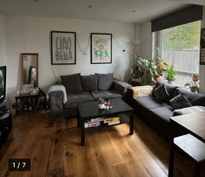 Lovely bedroom in shared flat in Tottenham Hale  Main Photo