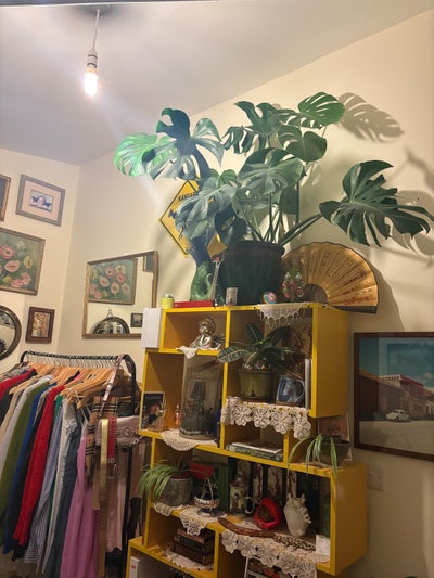 Double Room Available in Brixton Main Photo