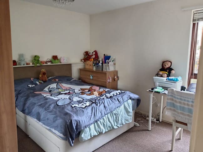 Double room available for female South Belfast Main Photo