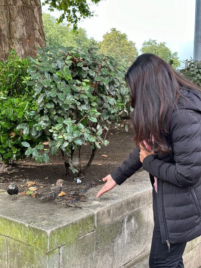 Looking for a female to find a 2 bed flat Main Photo