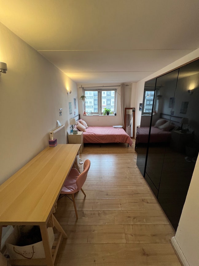 Large double room in homely Battersea flat Main Photo