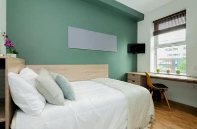 Student/Professional Room, Bankfield Rd Main Photo