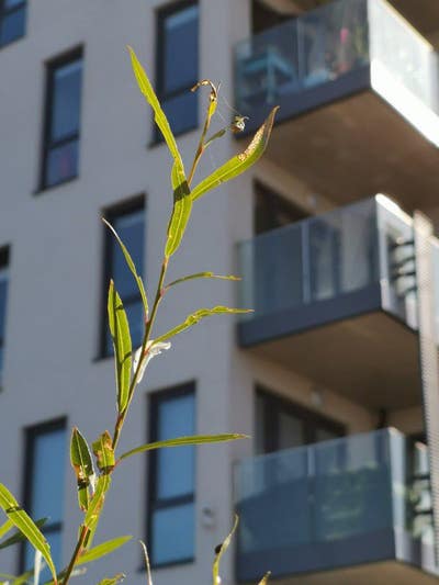 Stunning Room in Canary Warf!! Female Flat! Main Photo