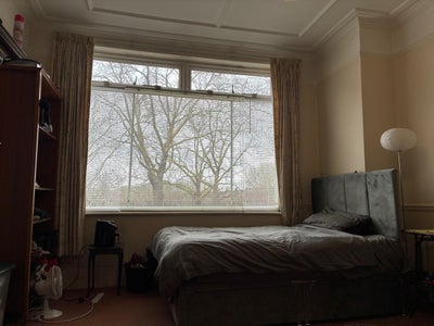 Large Room Offered in Friendly Mature House Main Photo