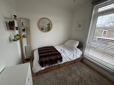 Single room ideal for short term/term time Main Photo