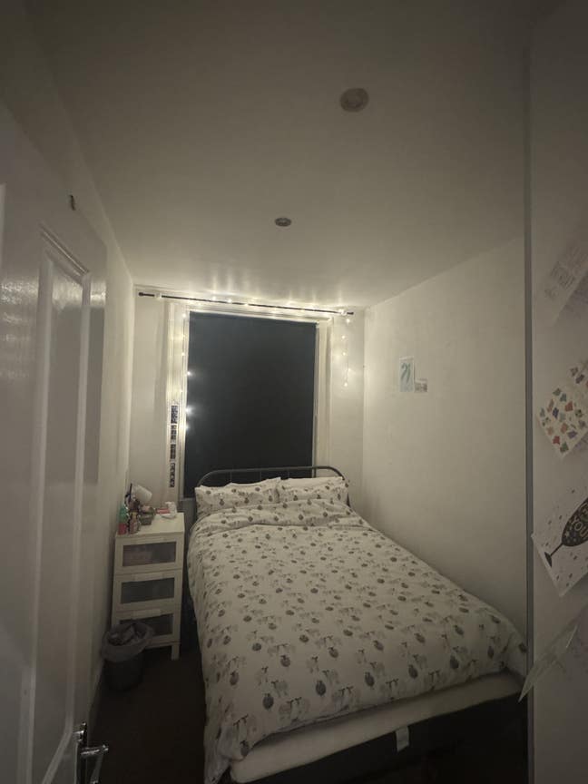 Central London Room in Three Bed Flat Main Photo