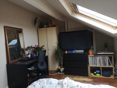 Double Room Available in Burley House-Share  Main Photo