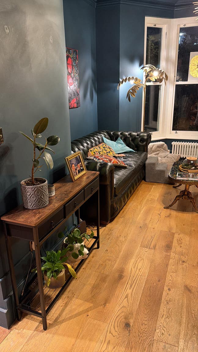 Come Live with Us!! Main Photo